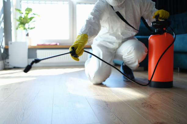 Reliable Biohazard Cleanup contractor in Capitol Heights, MD by Dulley Family Biohazard Services
